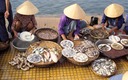 Fischmarkt in Hoi An